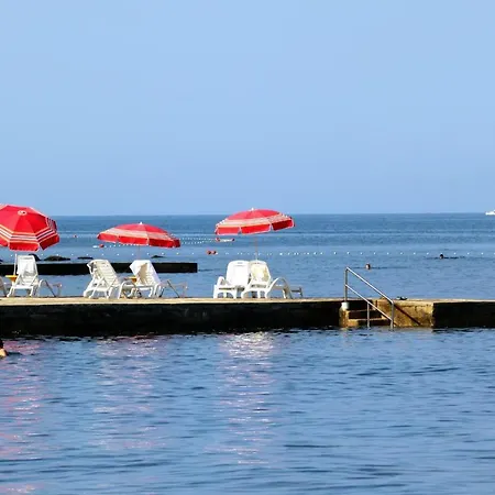 Studio 7126a Umag